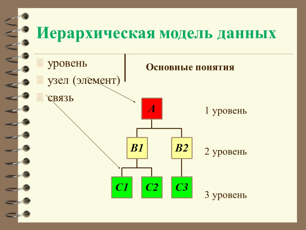 Иерархическая модель данных уровень узел (элемент) связь Основные понятия 1 уровень 2 уровень 3